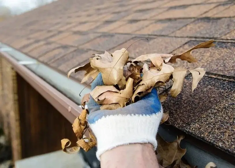 Eavestrough Cleaning Near Me - Elite Flow Gutters