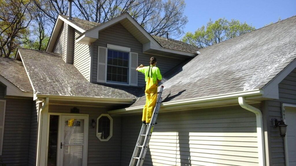 Importance of Roof Cleaning for Your Home - Elite Flow Gutters