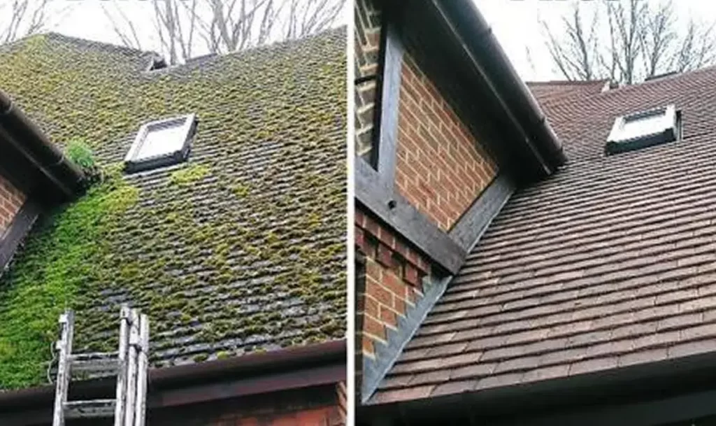 Roof Cleaning in Burnaby | Burnaby Roof Cleaners - Elite Flow Gutters